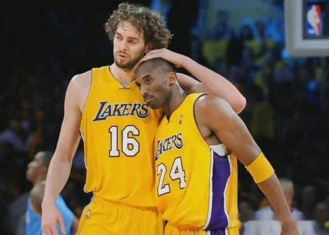 了积极的基 了积极的基