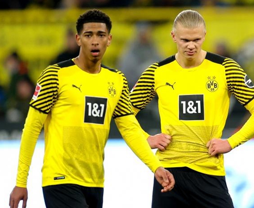 转化的成功 转化的成功